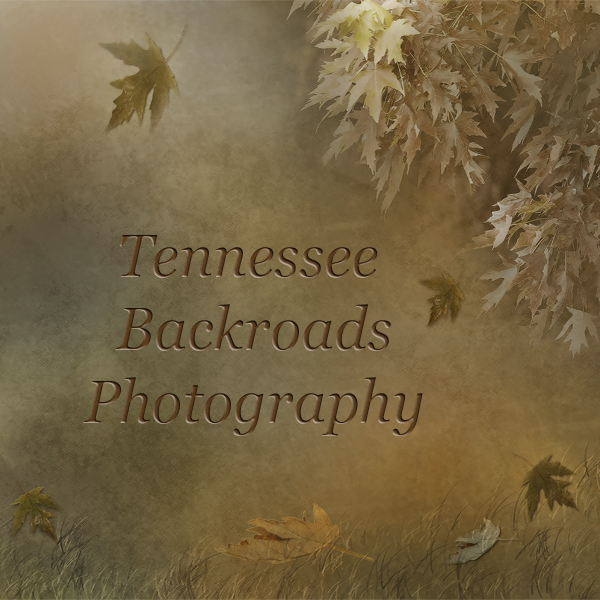 TnBackroadsPhotos 